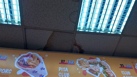 munca alimentatie timisoara|alimentara .